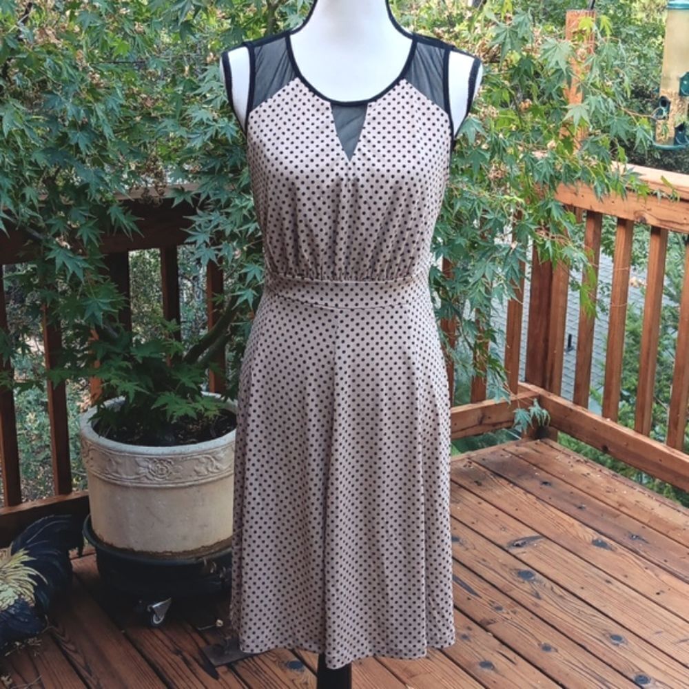 NWT Enfocus Studio Black and Tan Dress